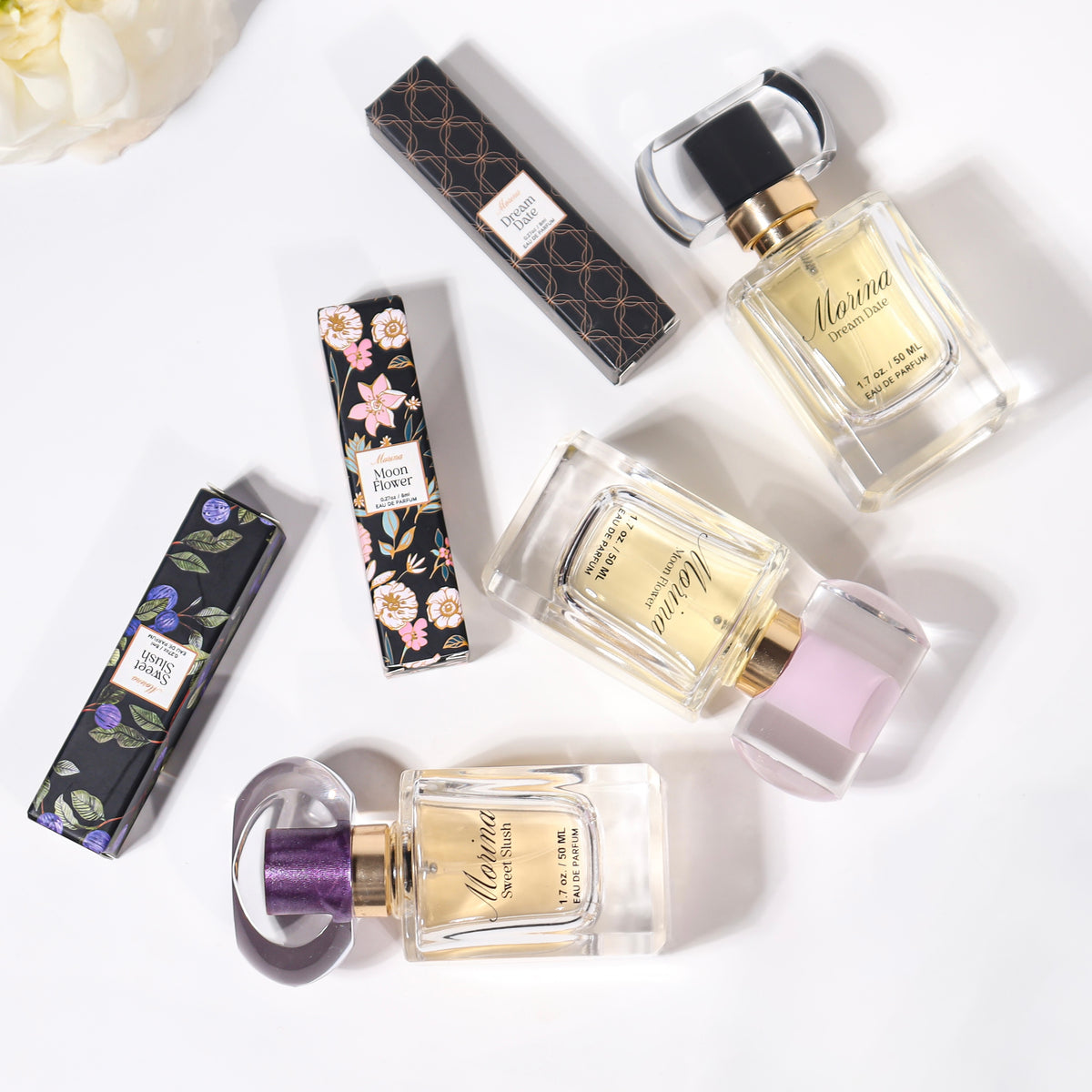 Fragrances – Morina life